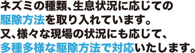 ネズミの種類、生息状況に応じての駆除方法を取り入れています。又、様々な現場の状況にも応じて、多種多様な駆除方法で対応いたします。