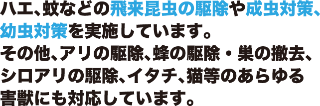 ハエ、蚊などの飛来昆虫の駆除や成虫対策、幼虫対策を実施しています。その他、アリの駆除、蜂の駆除・巣の撤去、シロアリの駆除、イタチ、猫等のあらゆる害獣にも対応しています。